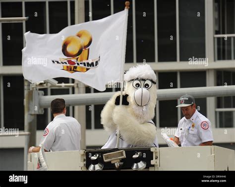 Miami Heat Mascot Memorabilia: Collecting Burnie and The Extreme Mascot Merchandise